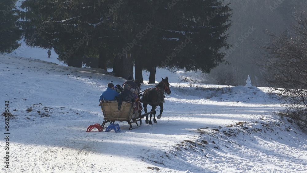 Horse-drawn carriage move on winter alley, rustic tourism Horse-drawn carriage move on winter alley, rustic tourism