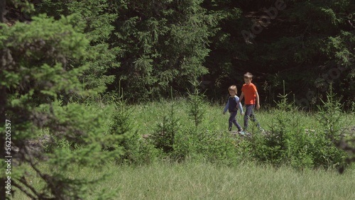 Two children walk on bridge in green nature, brother together explore nature © MEDIAIMAG