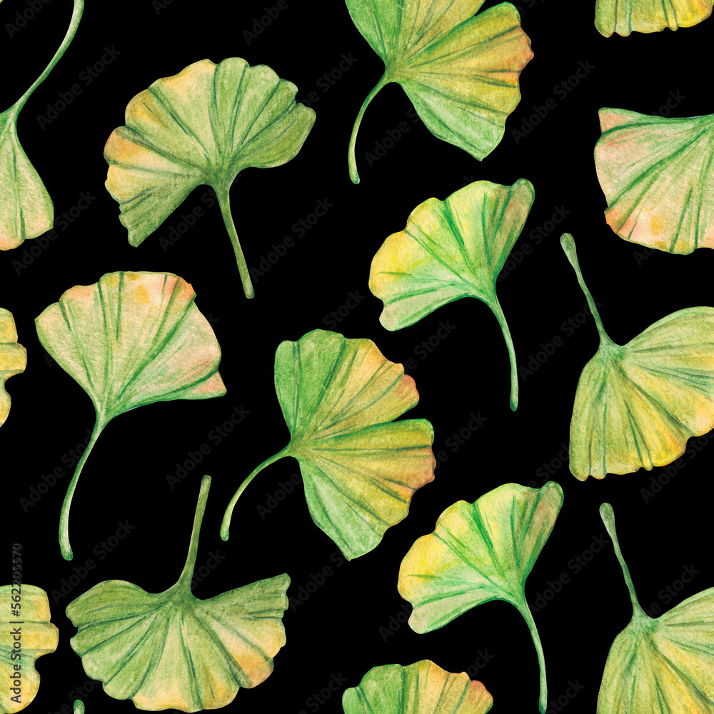 Seamless pattern ginkgo biloba green and yellow leaves, print botany foliage. Watercolor branches. Leaves clip art. Seamless pattern ginkgo biloba green and yellow leaves, print botany foliage. Watercolor branches. Leaves clip art.