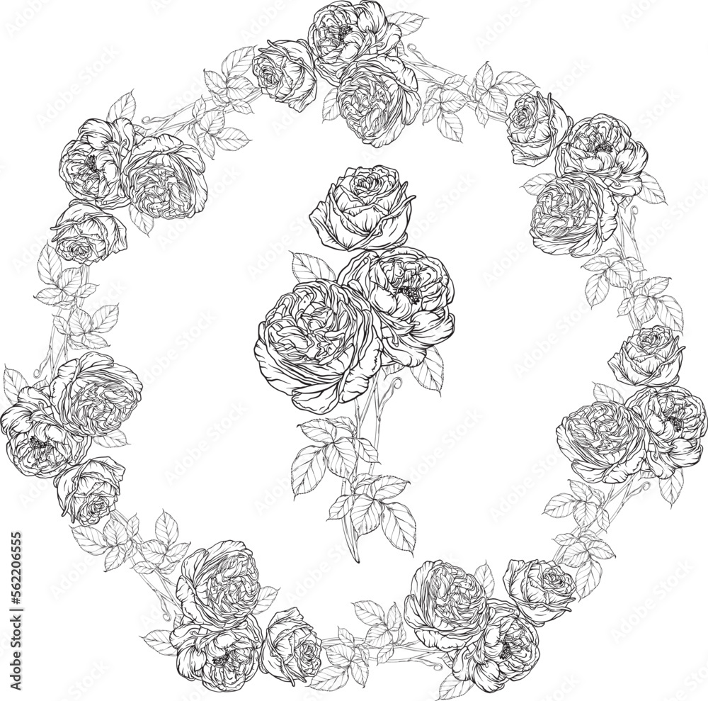 Hand-drawn floral set, Rose Collection, Flower Wreath. Hand-drawn floral set, Rose Collection, Flower Wreath.
