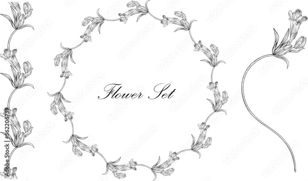 Floral set with black and white delicate flowers. Romantic set Floral set with black and white delicate flowers. Romantic set