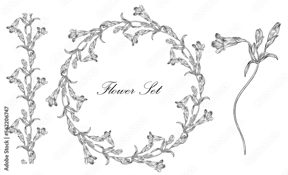 Floral set with black and white delicate flowers. Romantic set Floral set with black and white delicate flowers. Romantic set