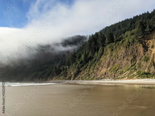 Fog blankets forested ridge as tide comes in. In the foreground a beach covered in water and translucent as the tide comes in. 