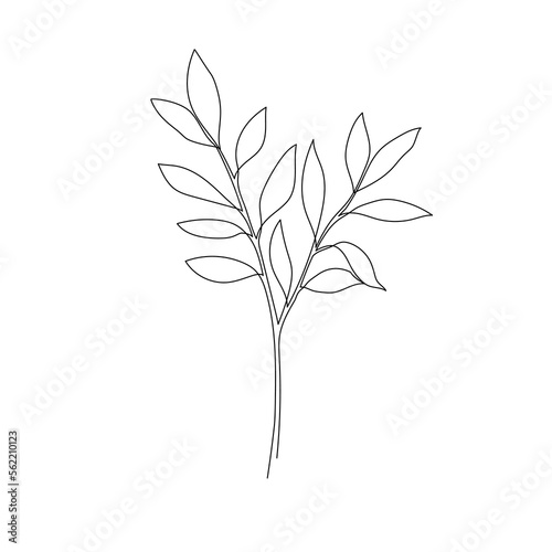 Outline plant eucalyptus leaf. One continuous line art decorative plant leaf. Editable stroke eucalyptus foliage floral element. Isolated vector illustration