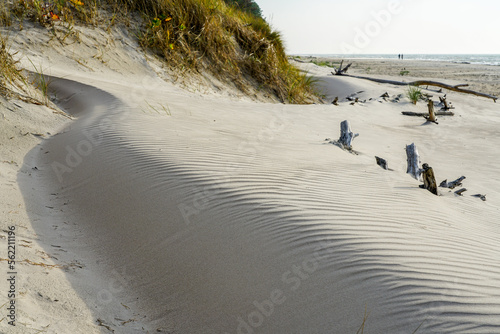 Fototapeta Naklejka Na Ścianę i Meble -  Wind-blown rippled sand texture in the sand dunes of the Baltic Sea coast, sand wave on the beach