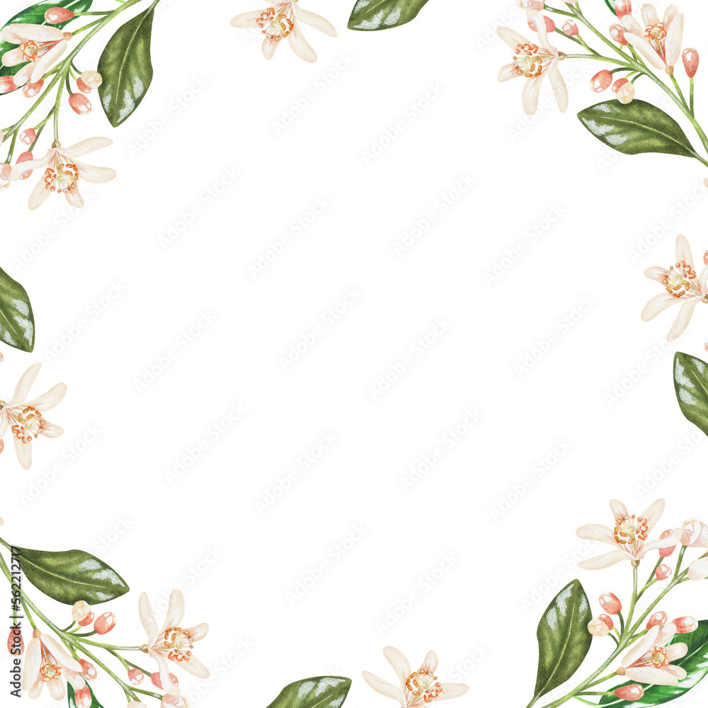 Square frame of small branches of flowers. White buds of citrus. Place for inscription or text. Watercolor illustration.Isolated on a white background. For your design stickers, napkins, cards