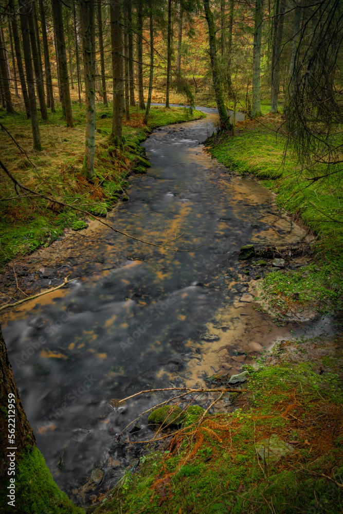 Feldaist river in valley near Rainbach im Muhlkreis in winter day without snow Feldaist river in valley near Rainbach im Muhlkreis in winter day without snow