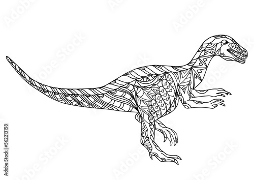 Hand drawn dinosaur velociraptor mongoliensis. Coloring book page antistress for adults and children. Prehistoric doodle cartoon animal. Vector outline sketch illustration isolated on white background