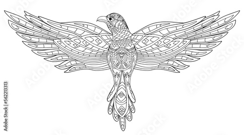 Hand drawn stylized eagle. Coloring book page antistress with predatory bird for adults and children. Beautiful doodle cartoon animal. Vector outline sketch illustration isolated on white background