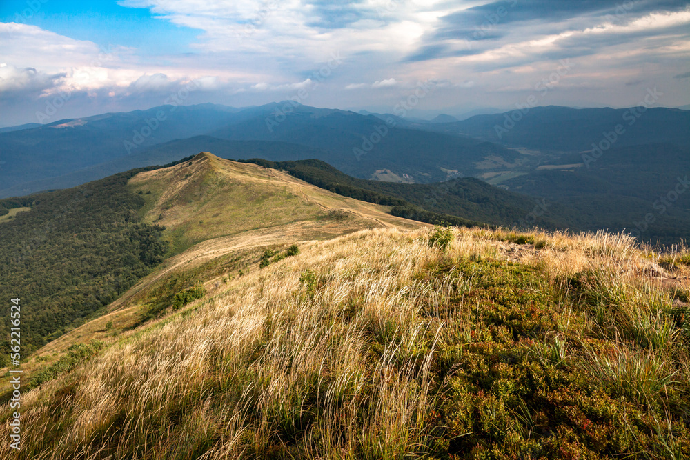 Amazing late summer landscape in the mountains, beautiful highland meadow under the cloudy sky, Połonina Caryńska, Bieszczady, Poland