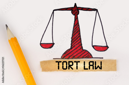 Next to the painted scales of justice lies a pencil and a strip of paper with the inscription - Tort Law