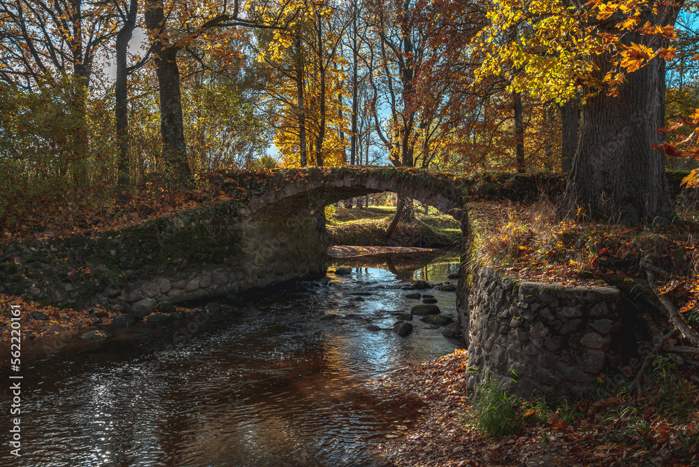 old arched bridge over the river in autumn forest park with colored fallen leaves on the ground old arched bridge over the river in autumn forest park with colored fallen leaves on the ground