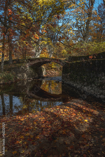 old arched bridge over the river in autumn forest park with colored fallen leaves on the ground