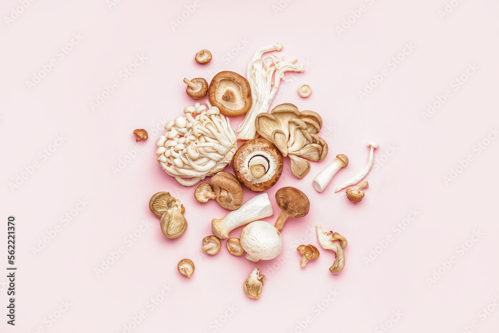 Heap of different fresh mushrooms on pink background Heap of different fresh mushrooms on pink background