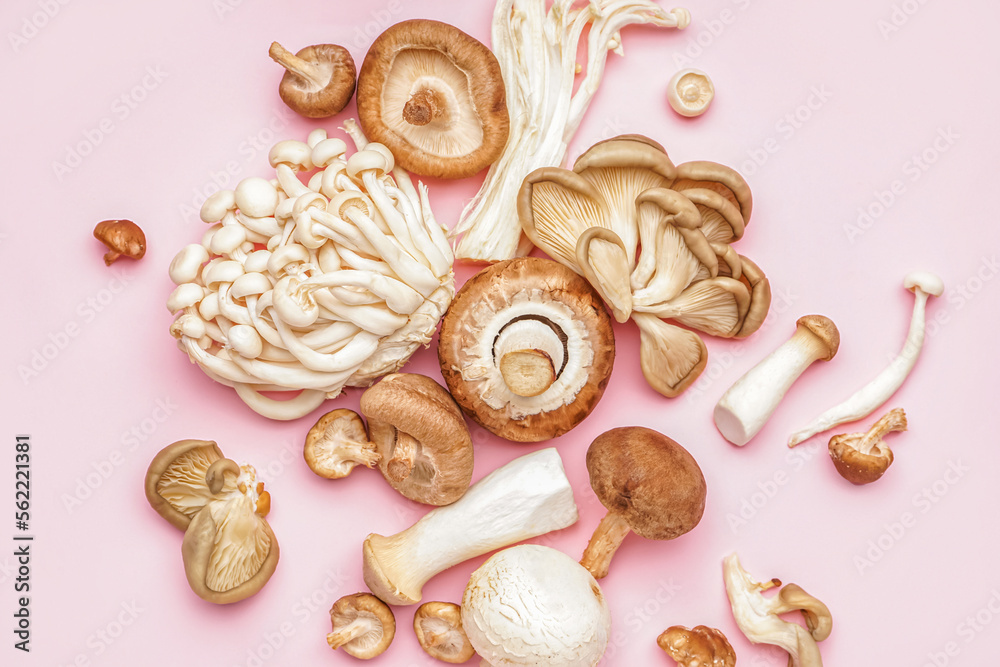Heap of different fresh mushrooms on pink background Heap of different fresh mushrooms on pink background