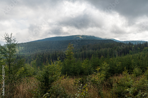 Beskid Zywiecki mountains in polish-slovakian borderlands wirh forest, Hala Miziowa meadow and Pilsko hill summit in clouds
