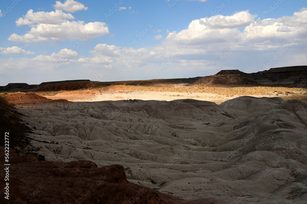 Petrified Forest Arizona