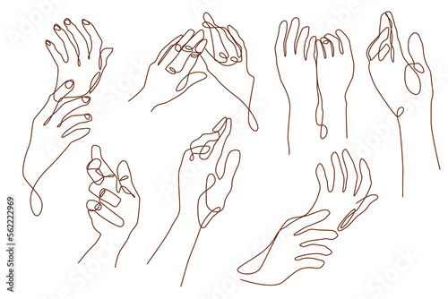 Hand drawn in one line. Set of hands. Art. Decor. Body parts. Posing. ink. Line. Vector. Decor elements.