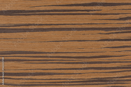 Zebra tree. Texture of brown wood with horizontal black stripes. African zebrano wood texture on macro. Photo in very high resolution.