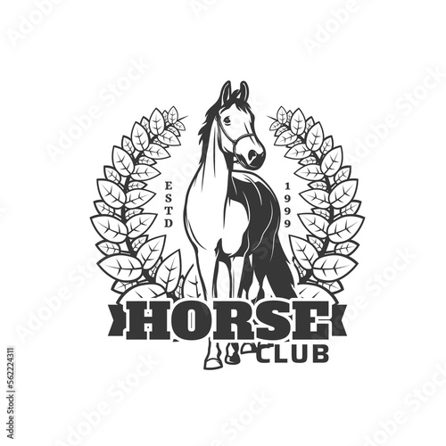 Equestrian sport club icon. Horse ridding competition or derby monochrome vector retro symbol, horseback equestrian hippodrome race vintage emblem with courser or steed horse and laurel wreath