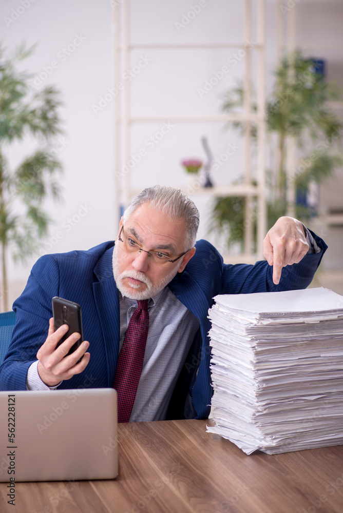 Old male employee working in the office Old male employee working in the office