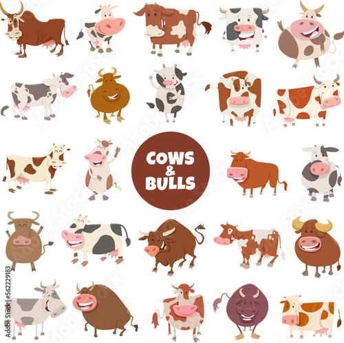 Fototapeta Naklejka Na Ścianę i Meble -  cartoon funny cows and bulls farm animals big set