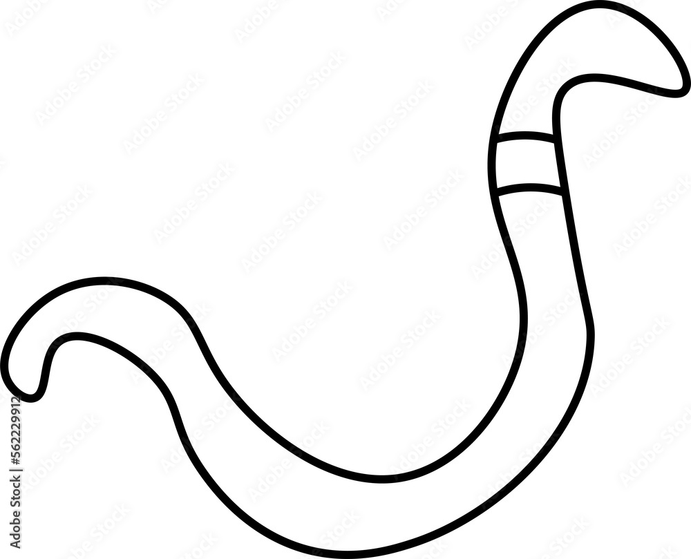 worm design illustration isolated on white background worm design illustration isolated on white background