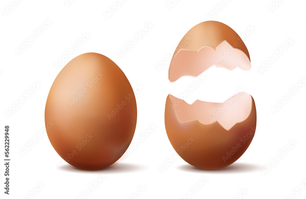 3d realistic vector icon illustration. Whole brown egg and half broken egg. 3d realistic vector icon illustration. Whole brown egg and half broken egg.