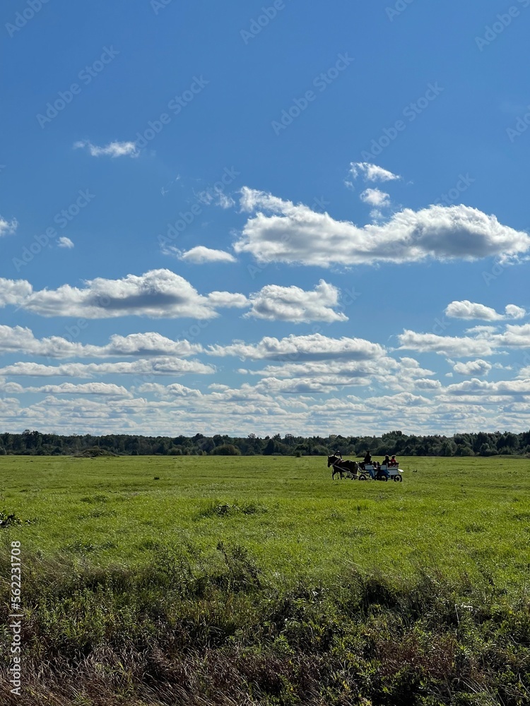 Fototapeta premium landscape with sky