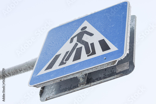 Frost covered trees in city