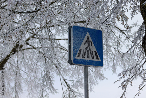 Frost covered trees in city
