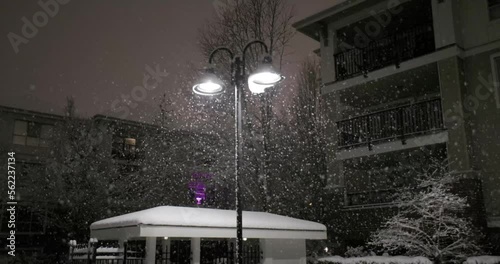 Slow motion snowfall at night