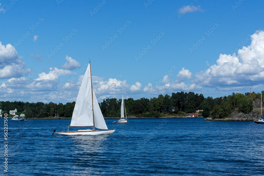 Obraz premium sailboat on the sea