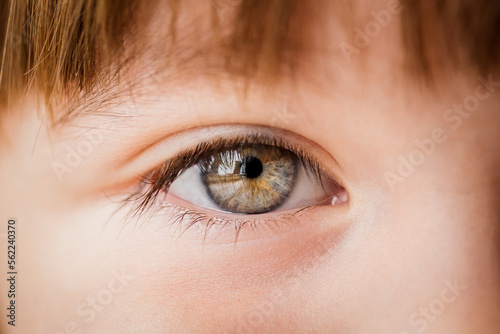 ojos azules macro de un niño photo