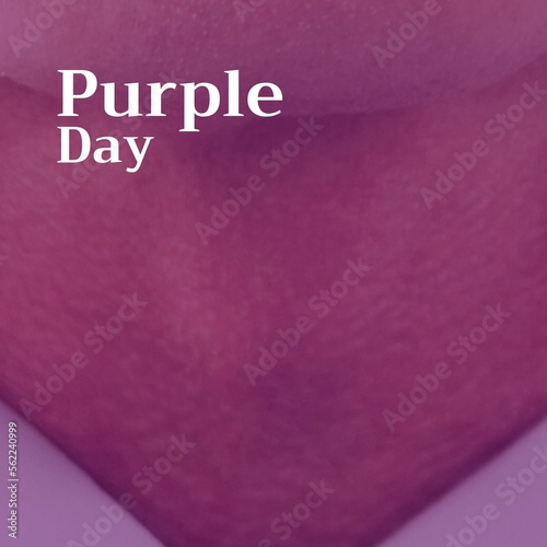 Composition of purple day text on purple background with copy space
