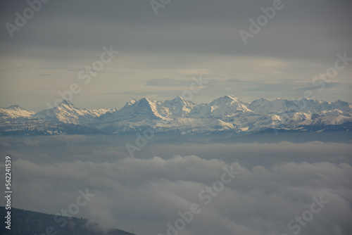 Vue sur les Alpes depuis Tête de Ran ( Canton de Neuchâtel )