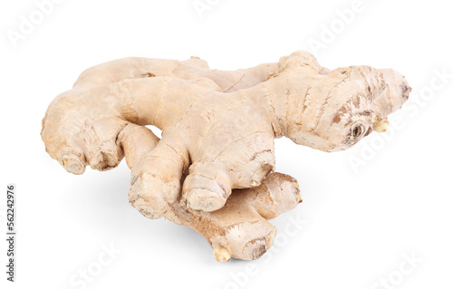 Fresh ginger roots on white background