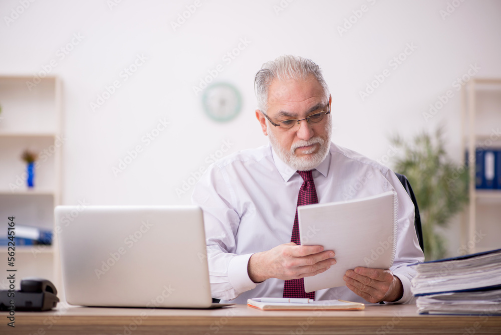 Old male employee working in the office Old male employee working in the office