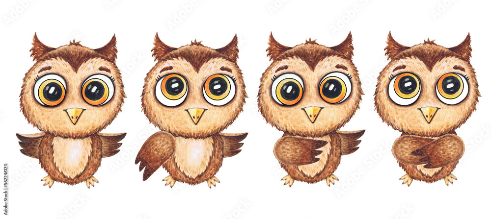 Watercolor cute funny owls. Toy style forest bird illustration. Decorative, children's cartoon illustration, print or sticker