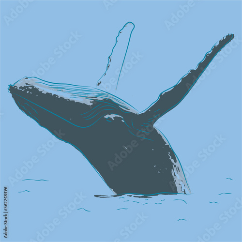 
animal vector for whale prints