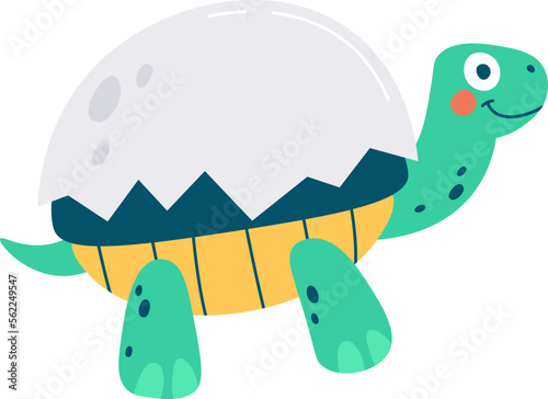 Cute turtle hatched from egg flat icon