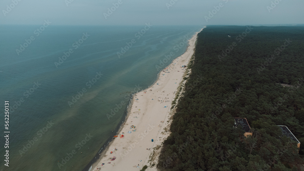 Sand beach with green pines, sea with waves on the Baltic Sea from above
