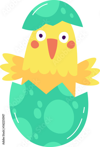 Cute chicks hatched from egg flat icon