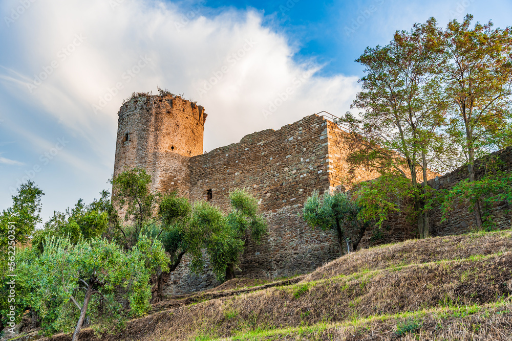 Medieval Aldobrandeschi Castle ( Medieval Aldobrandeschi Castle (