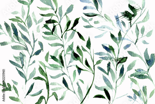 Sfondo con rami di foglie verdi, acquerello isolato su sfondo bianco photo