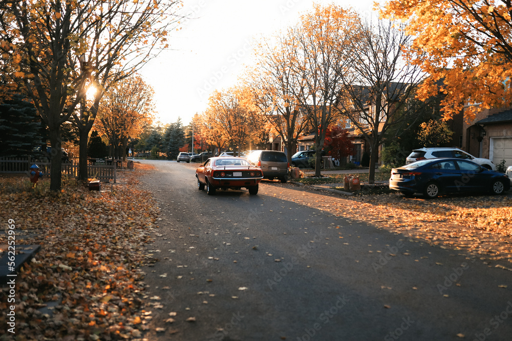 a red muscular car drives along the fall street near the houses