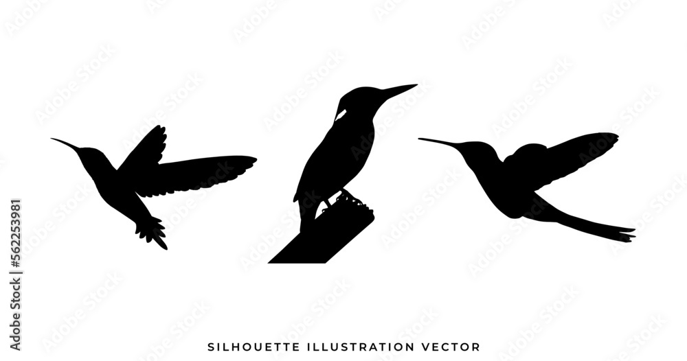 wild animals silhouettes vector illustration. Isolated animals wild animals silhouettes vector illustration. Isolated animals