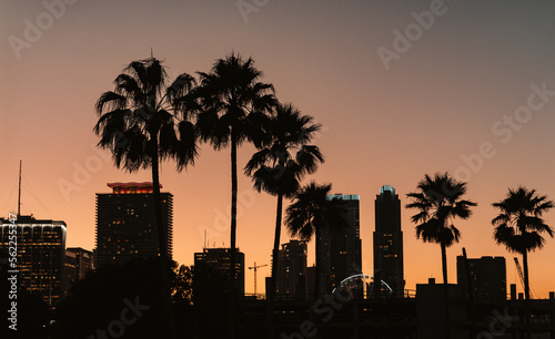city skyline at sunset miami palms