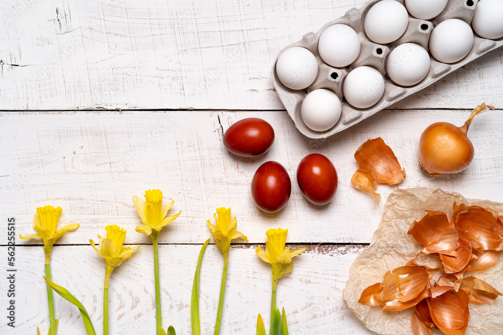 Easter eggs are painted with natural egg dye from fruits and vegetables, eggs are painted with onion husks on a white wooden table and yellow daffodils, copy space Easter eggs are painted with natural egg dye from fruits and vegetables, eggs are painted with onion husks on a white wooden table and yellow daffodils, copy space