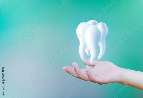 The hand holds a molar tooth on an emerald green background, dental examination, dental health and hygiene. Dental restoration, dental care and treatment.